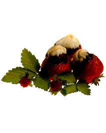 fraises aux deux chocolats